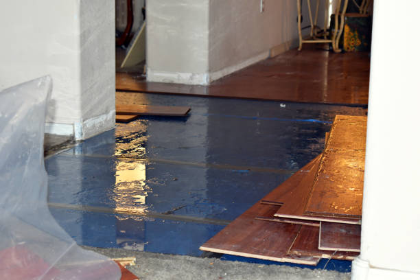 Professional Basement Flood Cleanup technician working in Mims, FL